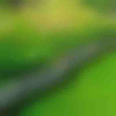 Kamenné záhradné lemovanie (10 ks) | MINIFENCE