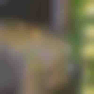 Solárne rozprávkové svetlá s umelými listami brečtanu (5 m) | LEAFGLO