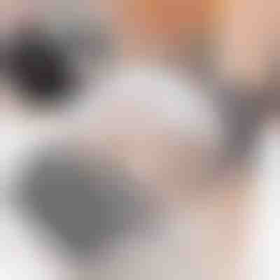 Samoobslužná starostlivosť pre mačky (2ks) | PURRCORNER