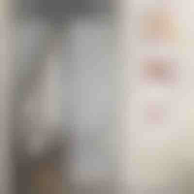 Magnetická sieť na dvere proti hmyzu | INSECTPROTECT