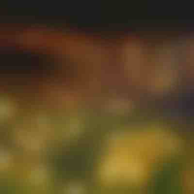 Záhradné solárne svietidlá (teplé svetlo) | SOMPEX